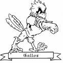 20070821180952-gallo1.jpg