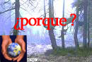 20071018183344-arboles.jpg